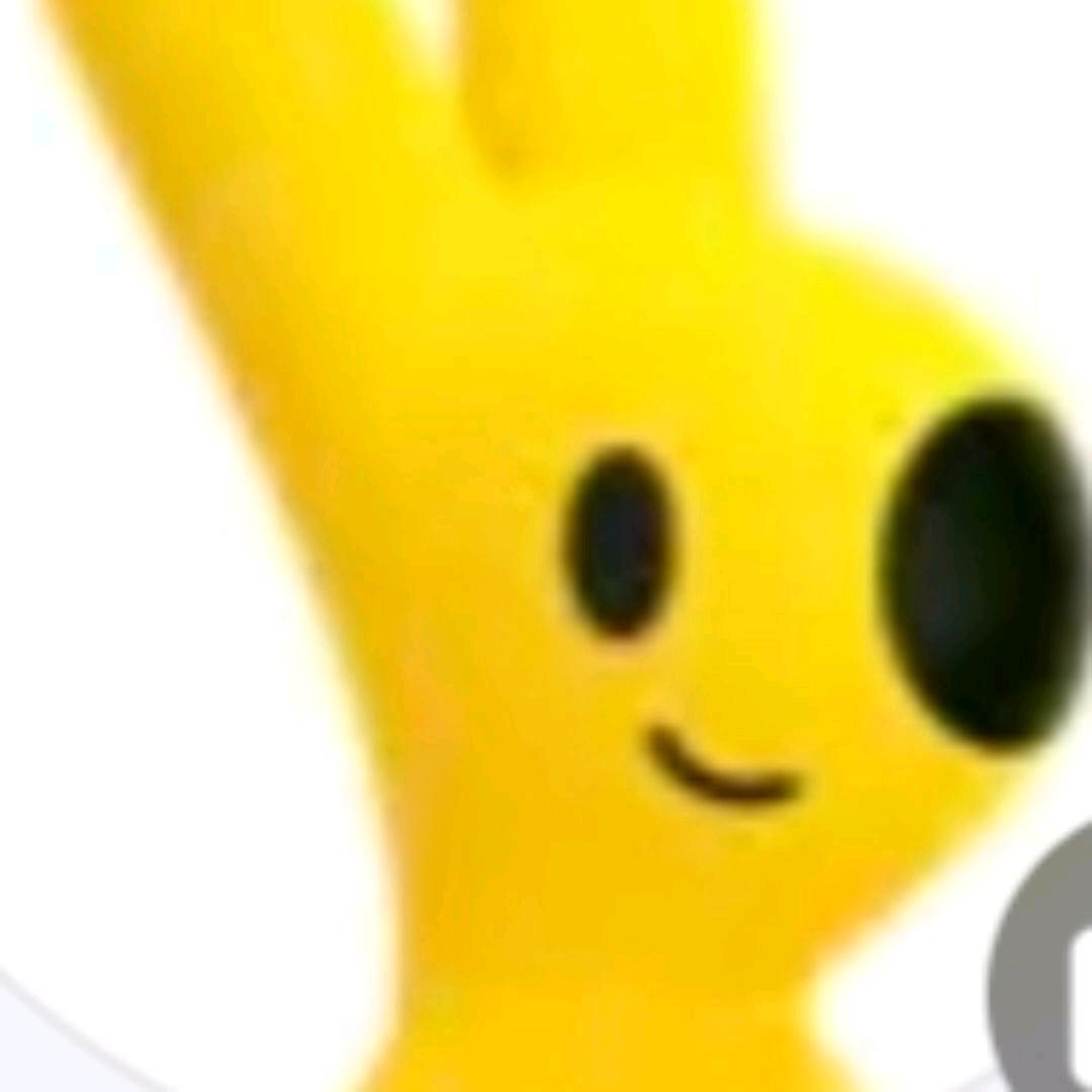 19🥔