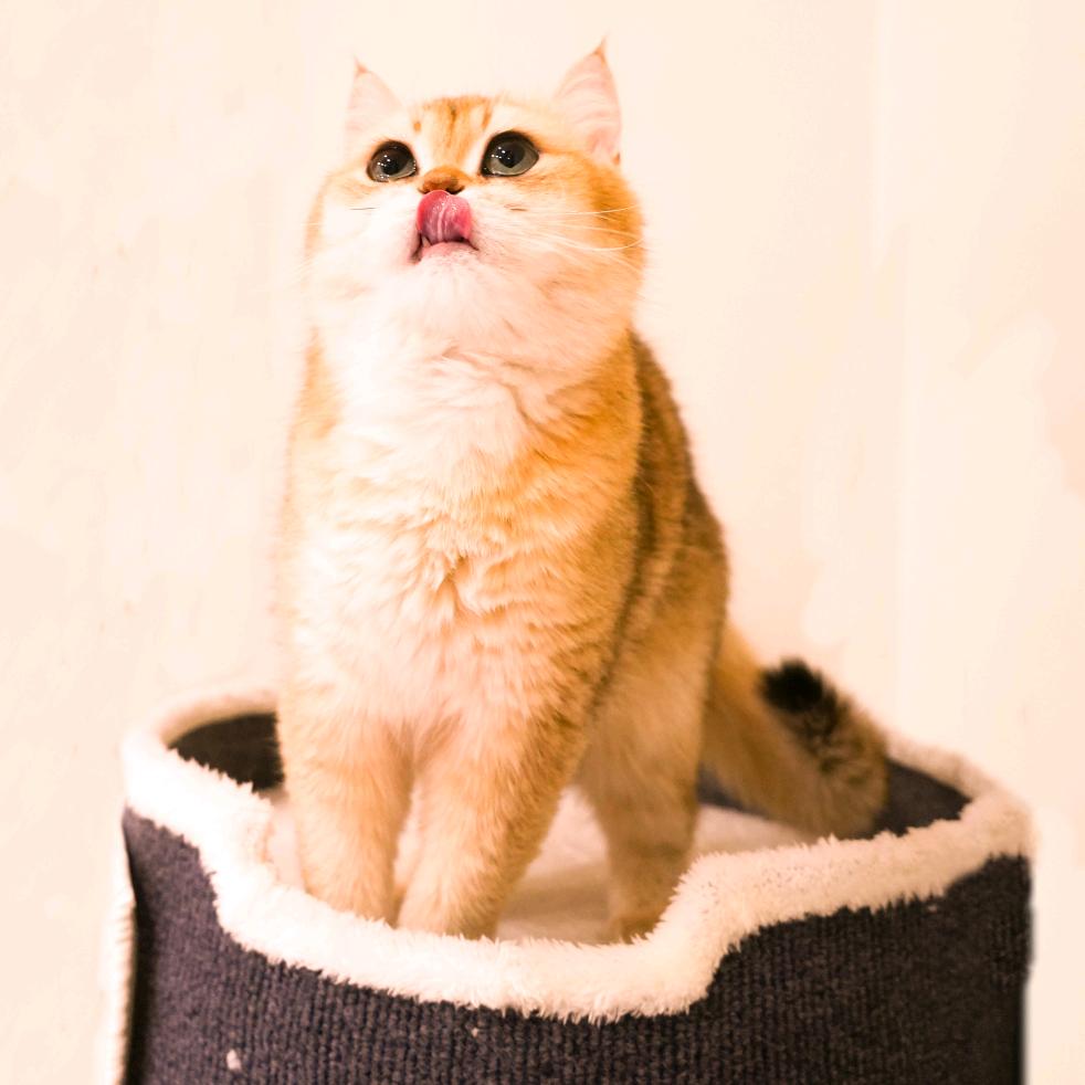 快乐不打烊