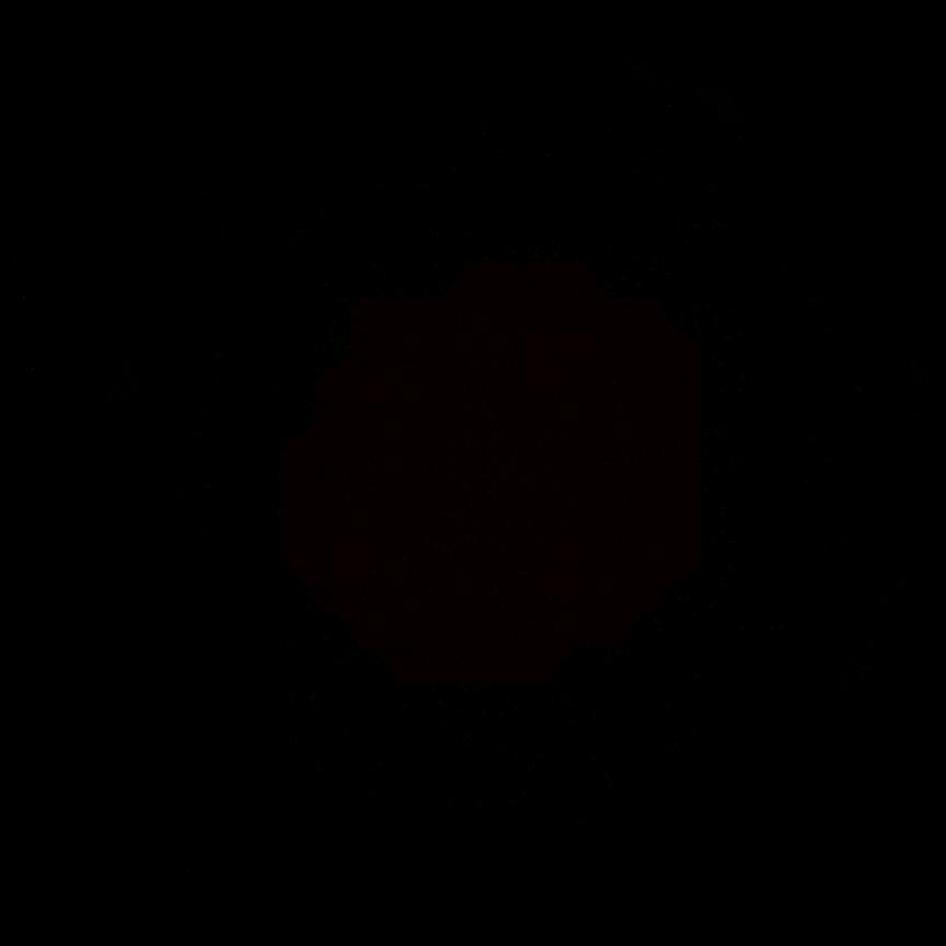 小y