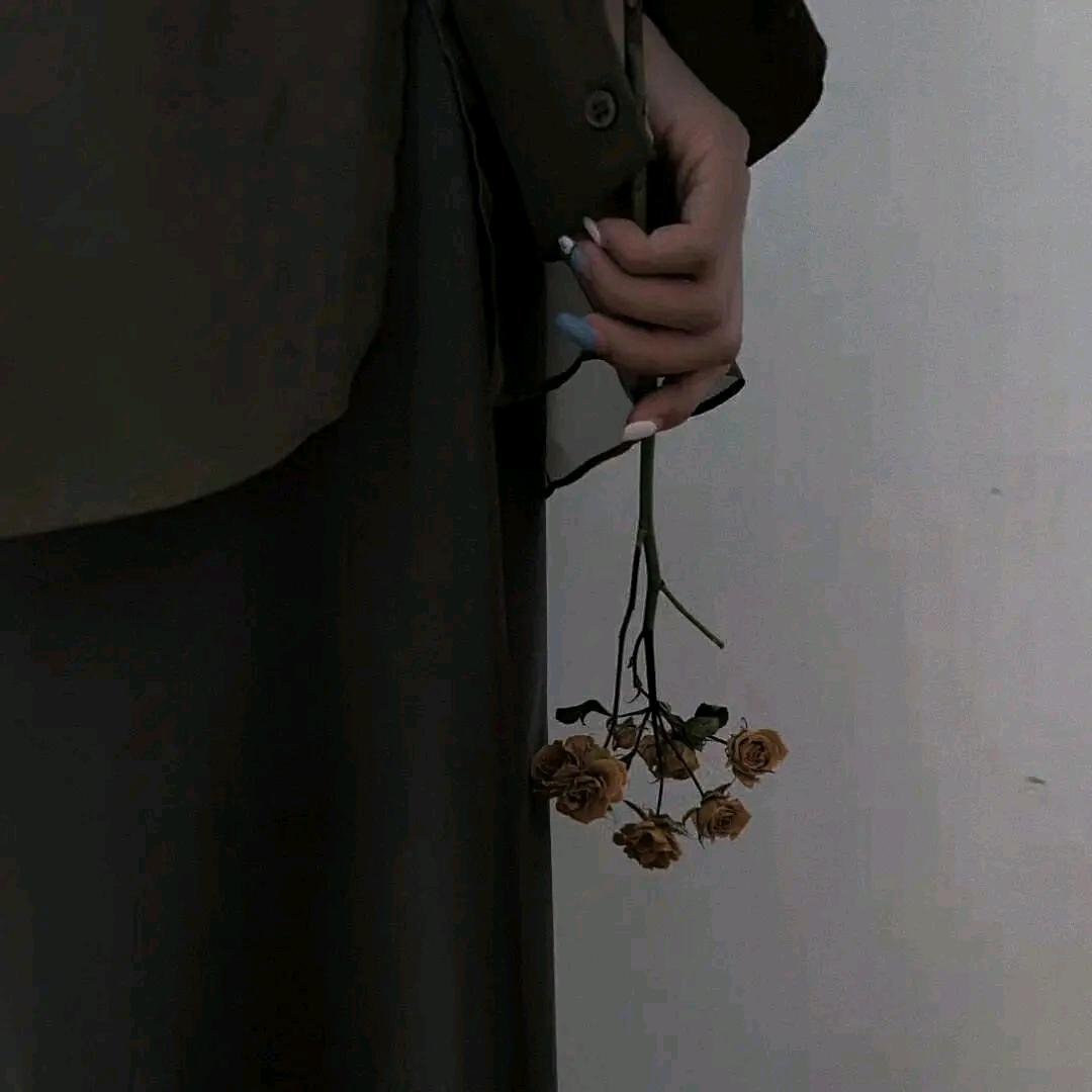 兰玫瑰的故事