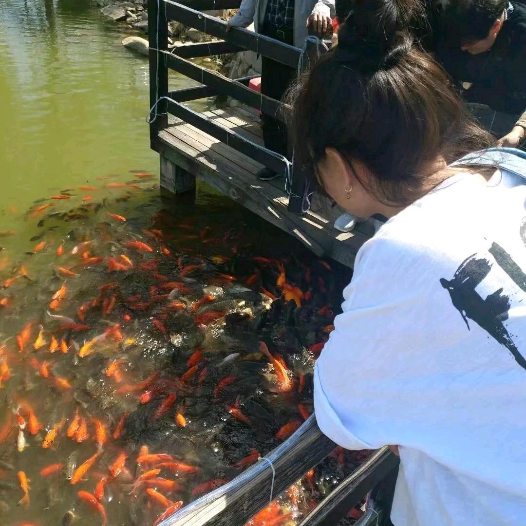 @静