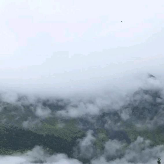 用户238134945