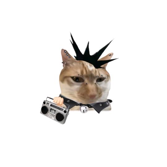 金典小乔