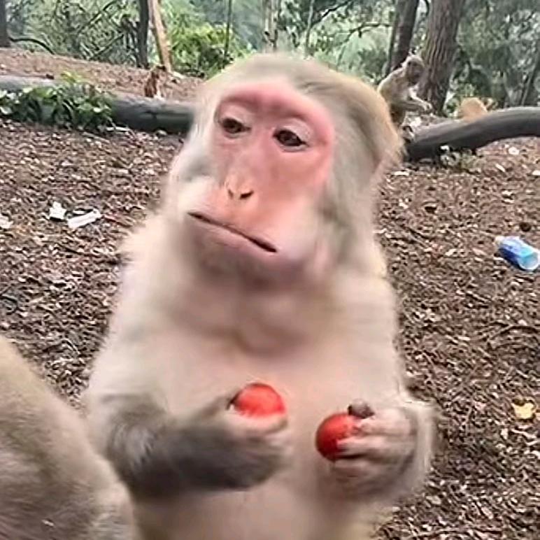 高质量抖音用户