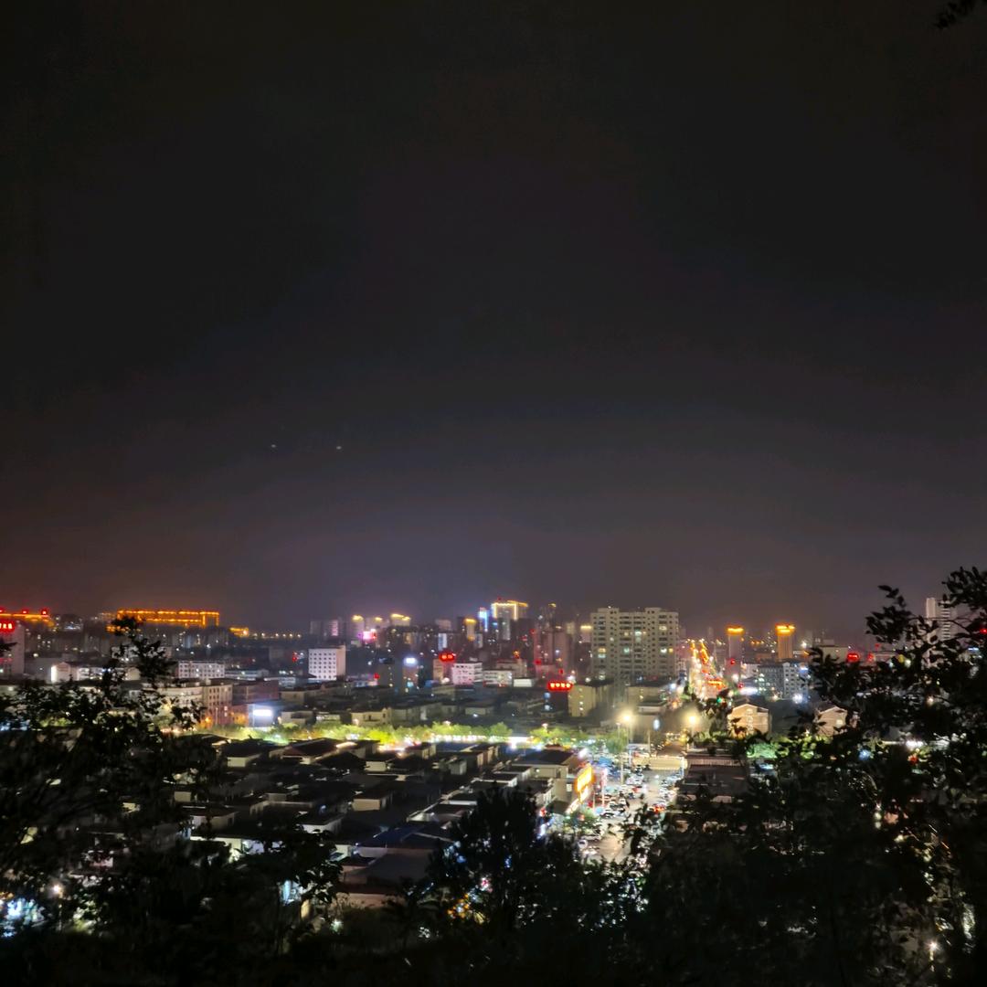 扛枪的蚂蚁༆