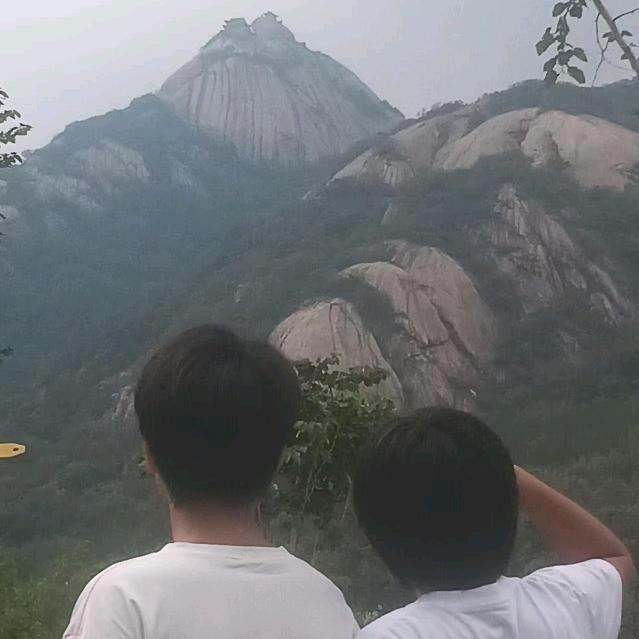 XL码