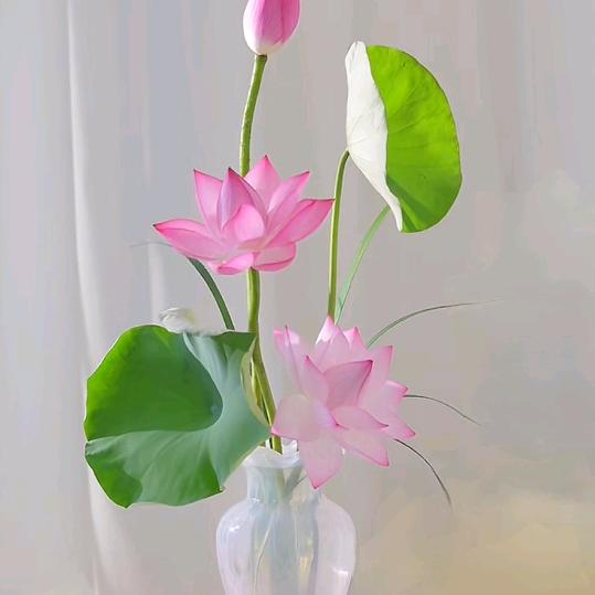 爱上养鱼种菜的中年女士