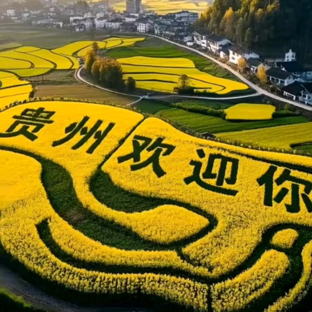 生命力量，