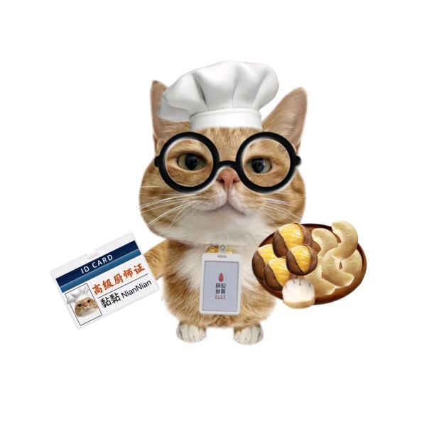 䇢᳐䇢᳐੭ﾞ(🌈