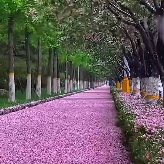 笑看人生