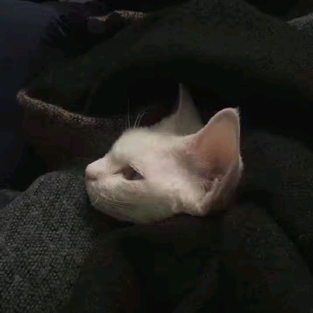 男人再穷不能卖