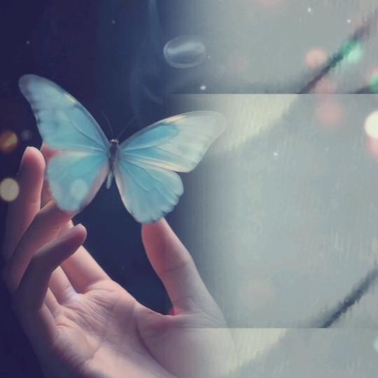 晚風