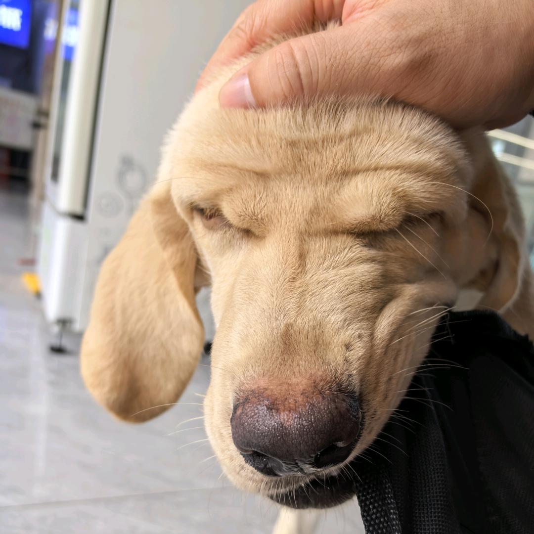 用户1314…等君来