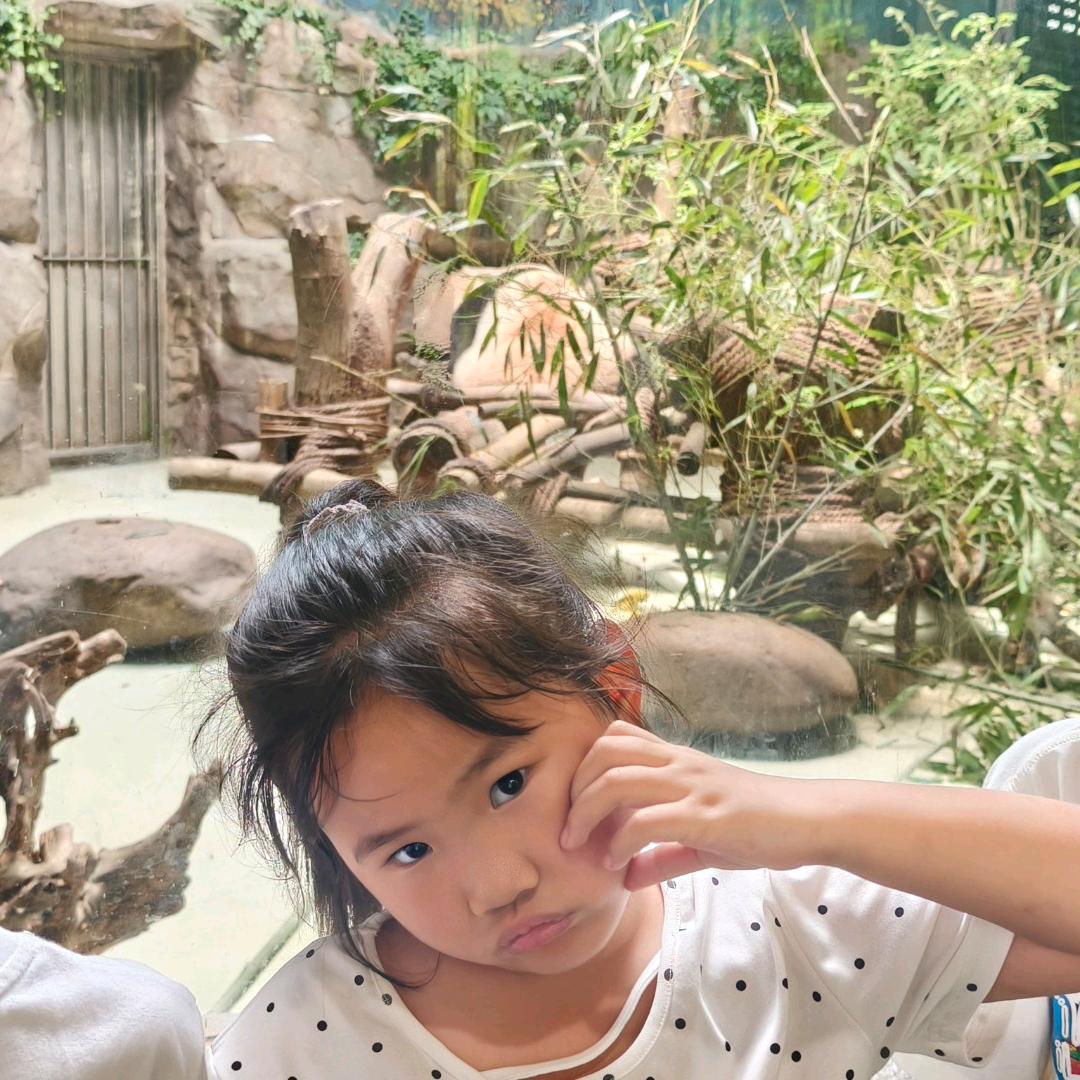 ℋღ᭄果董🍒配邹💞࿐