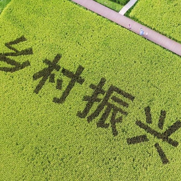 守村人啊林