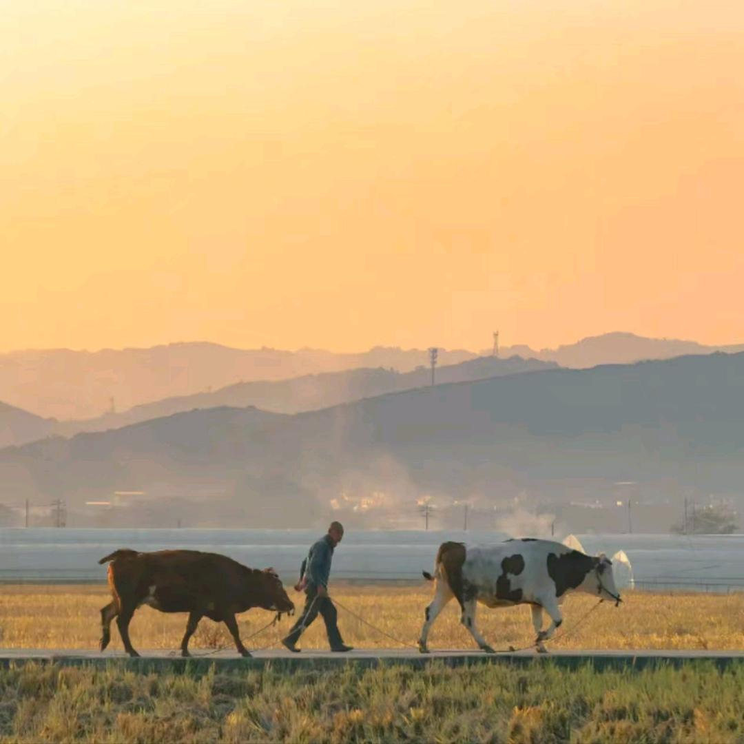 今生👬有💆你👭