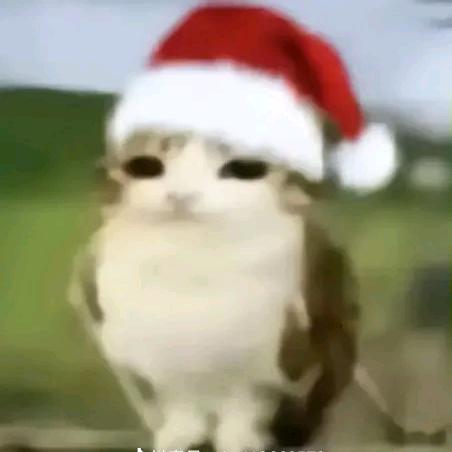 ^小怡大王^（鬼灭）