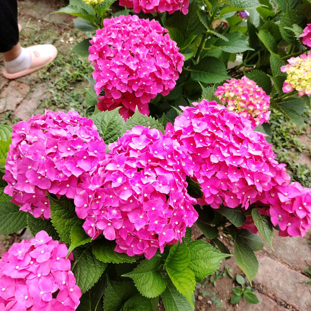 遥望远方