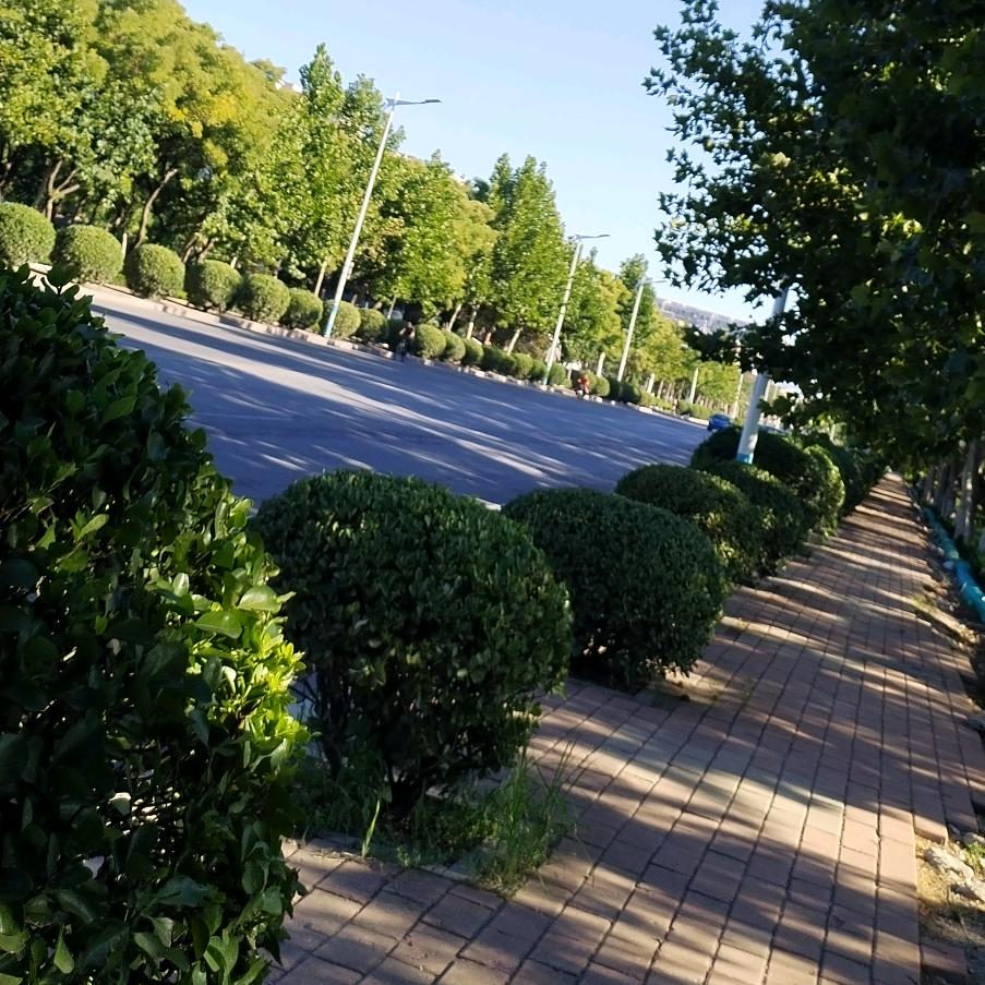 零度倾听