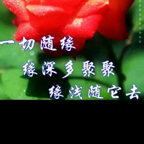 ᨶ႒ᩚ᭄祇為᨞喻见࿐ᩚ้