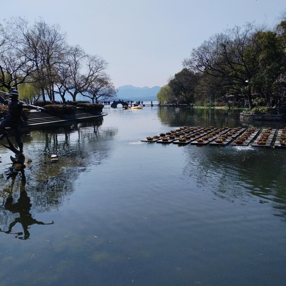 温柔的心