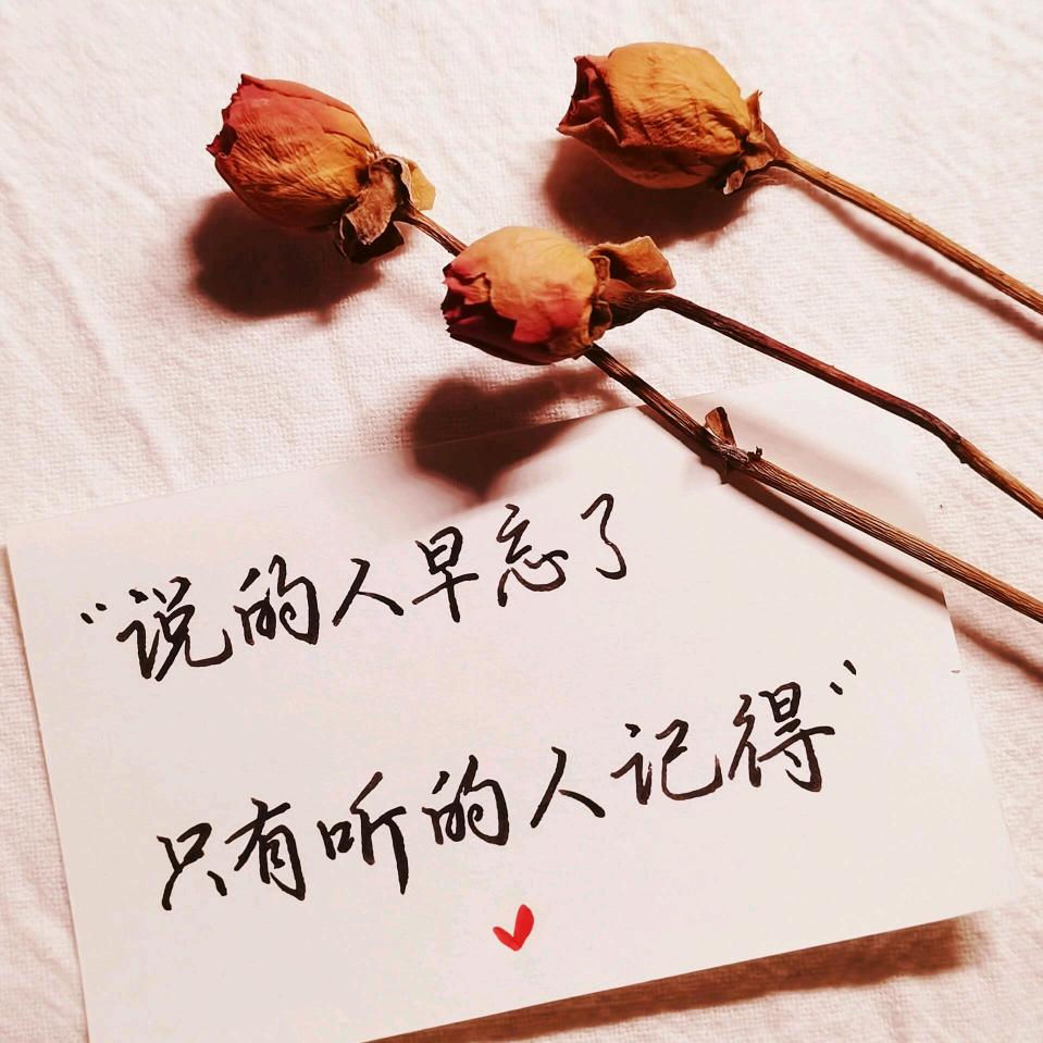 岁月静好无声