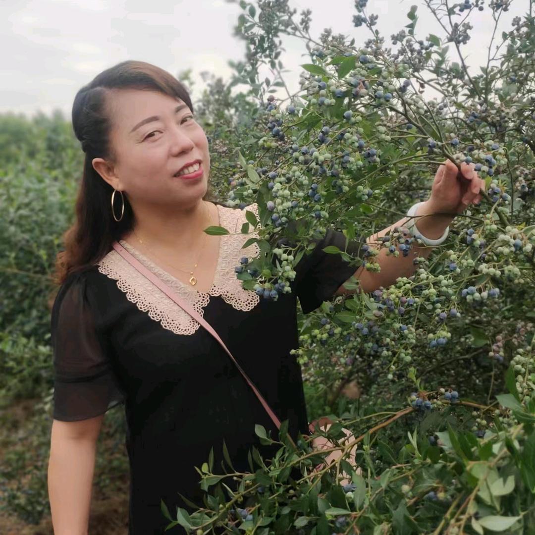 律动音舞间