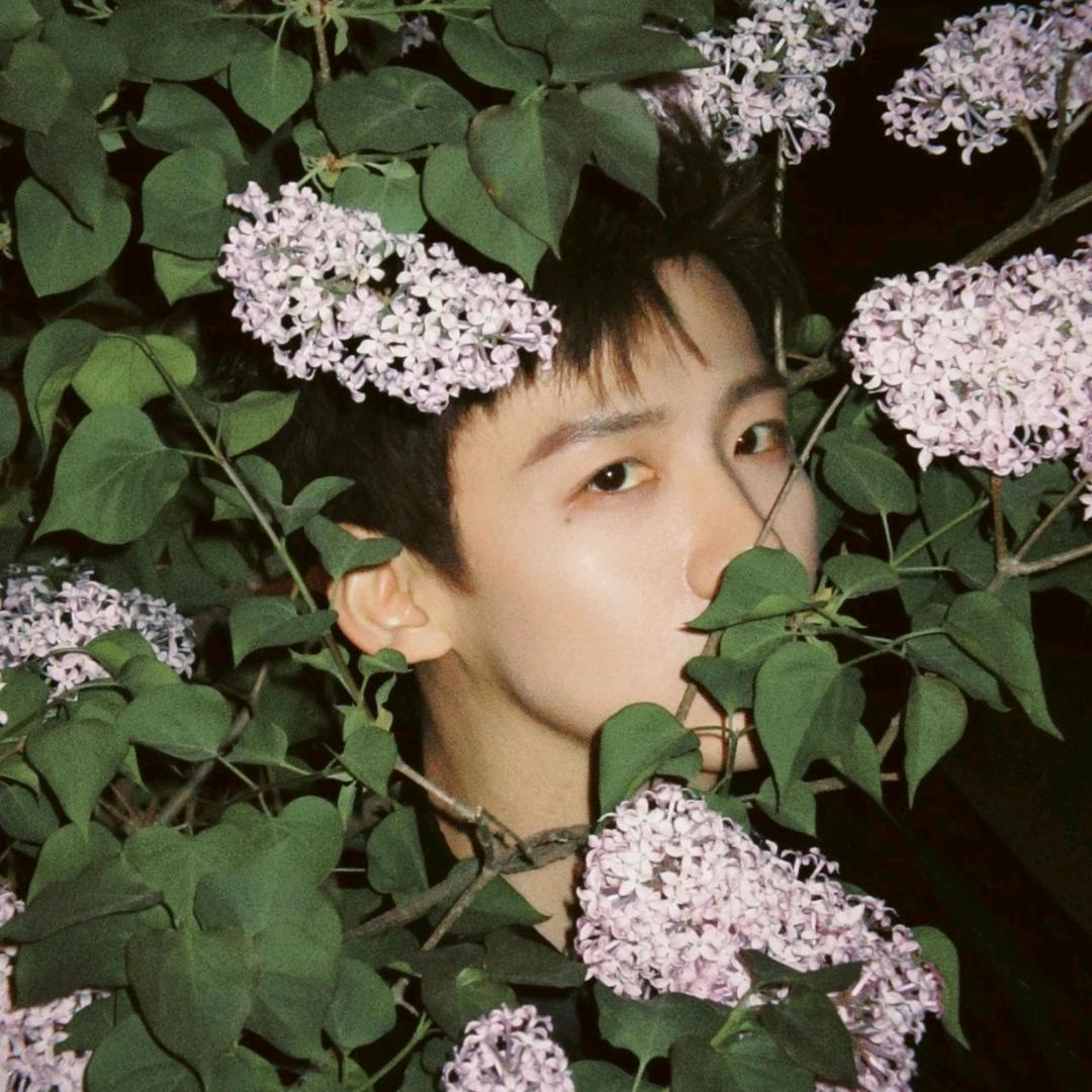 🦋🌈白鸽🕊🕊