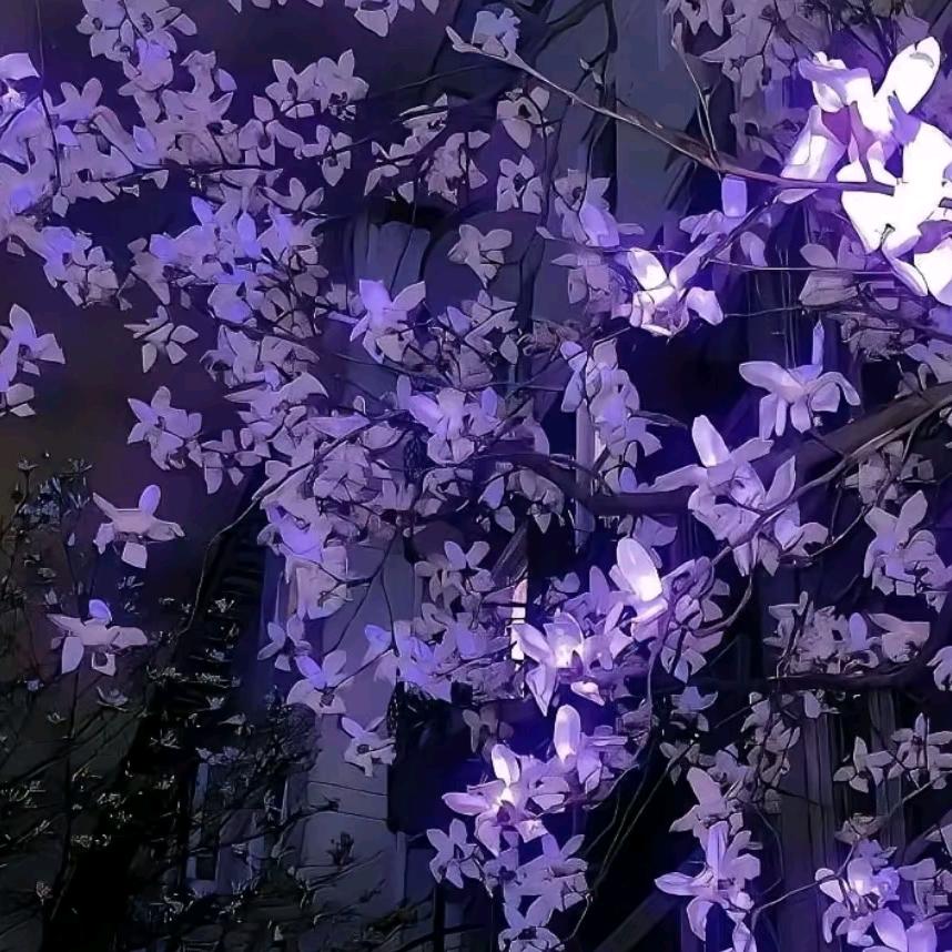 ✨＼(`Δ’)／✨头像