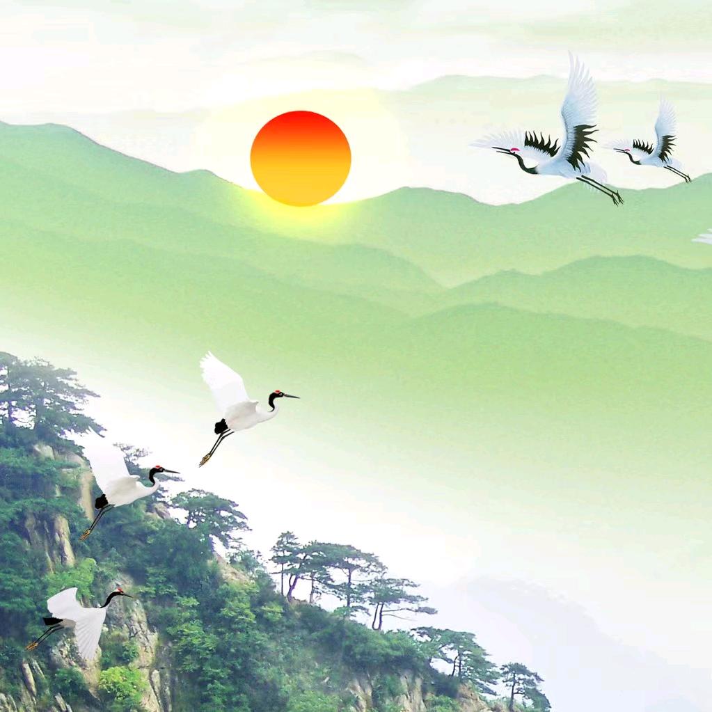 🔥我本善良🔥