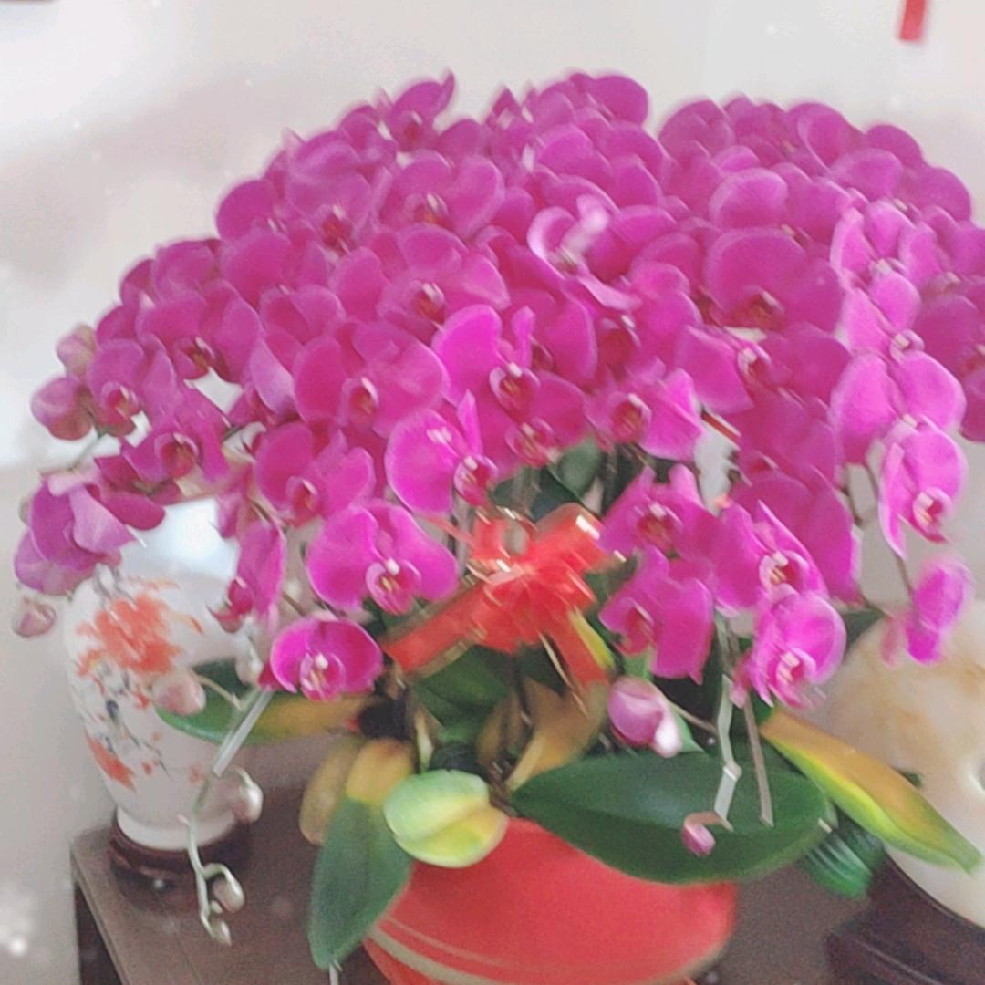 乐悠悠