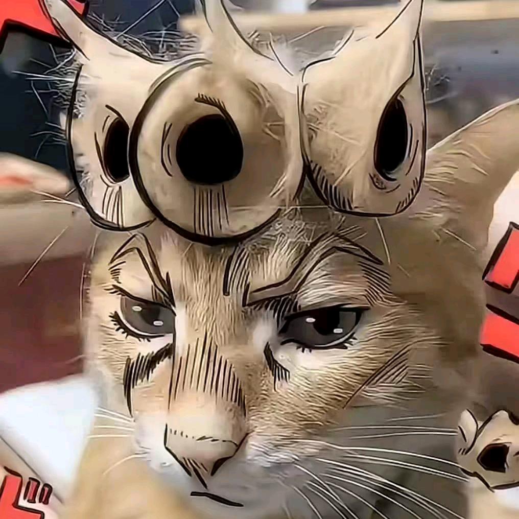 胜常春　　　　　　　　　 广告✕