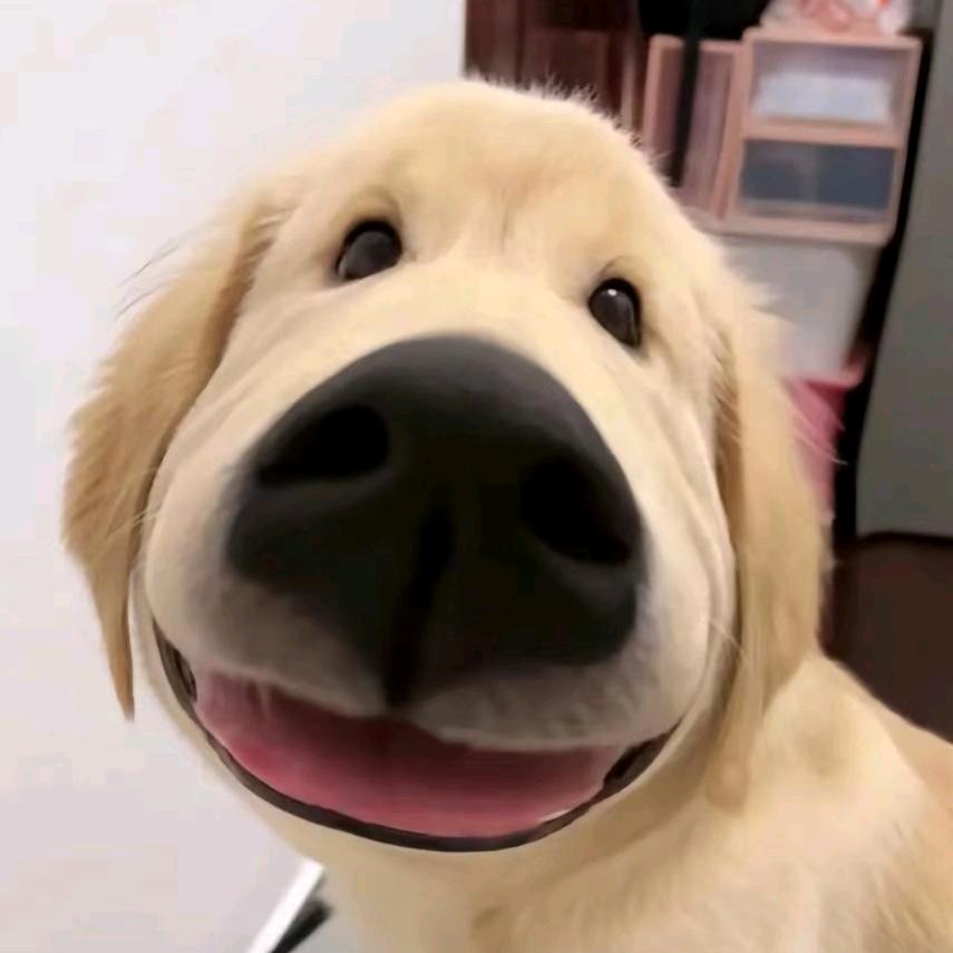 ——