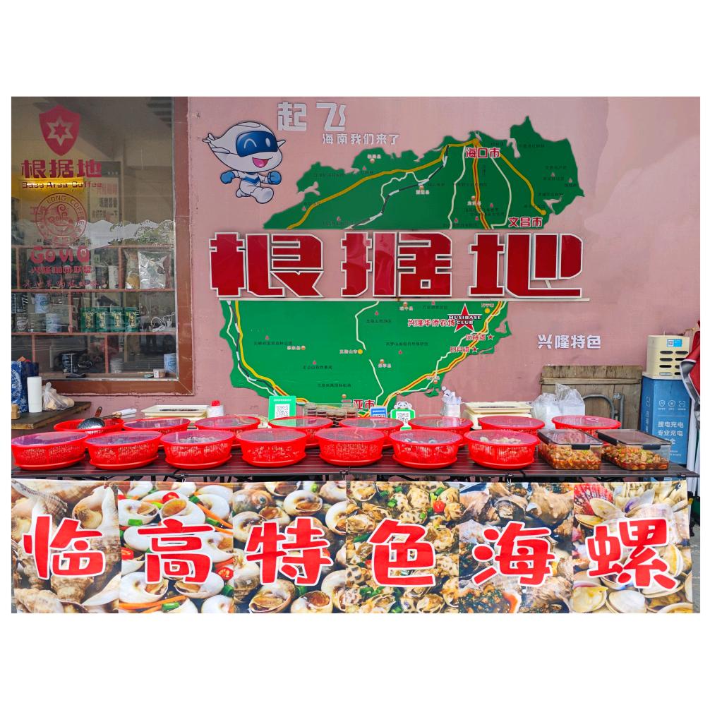 （万宁兴隆)临高特色海螺🐚