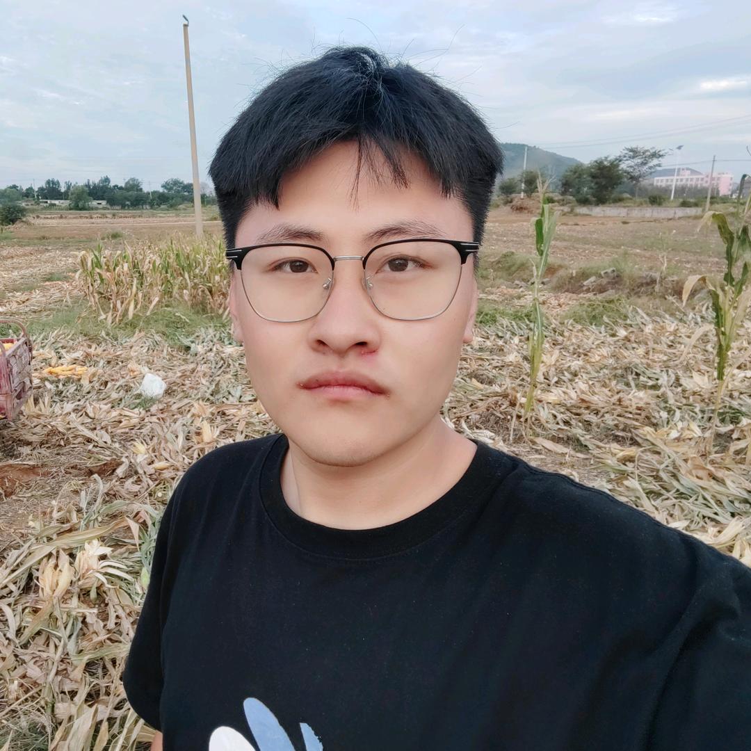 奋斗的小李（故事）