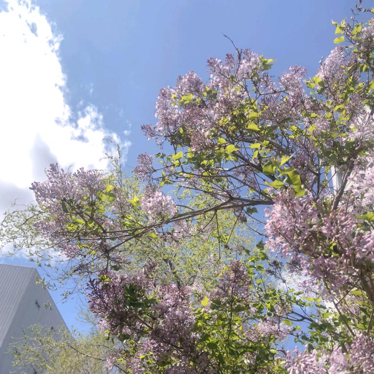 💖满心欢喜💞