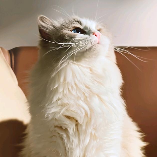 西伯利亚挖土豆