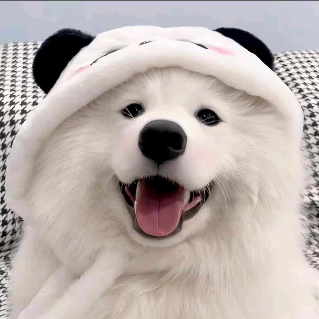 等天晴.