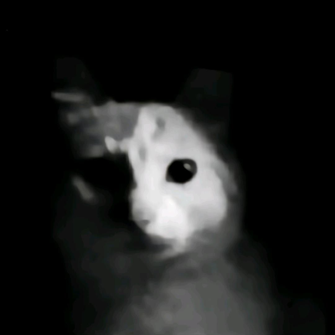 泪水打湿麦当劳你却不懂我的好