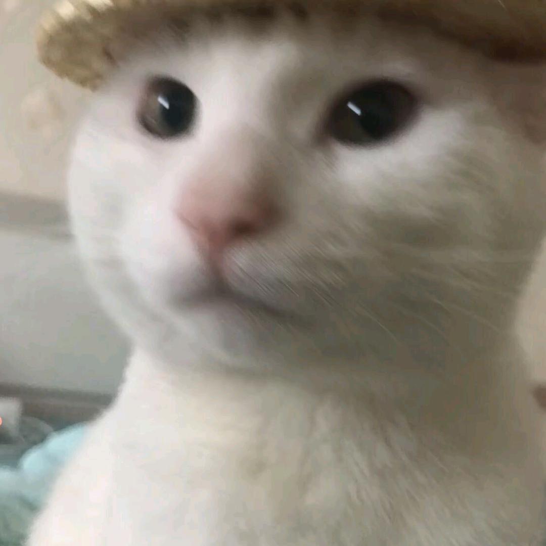 缘字诀