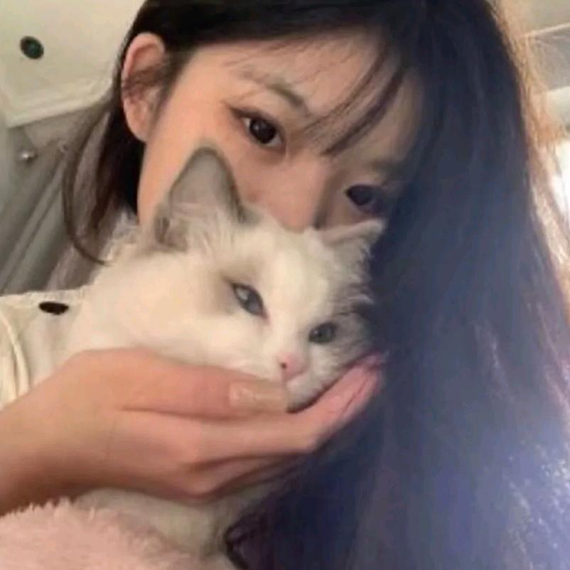 小᳐猫੭🐾