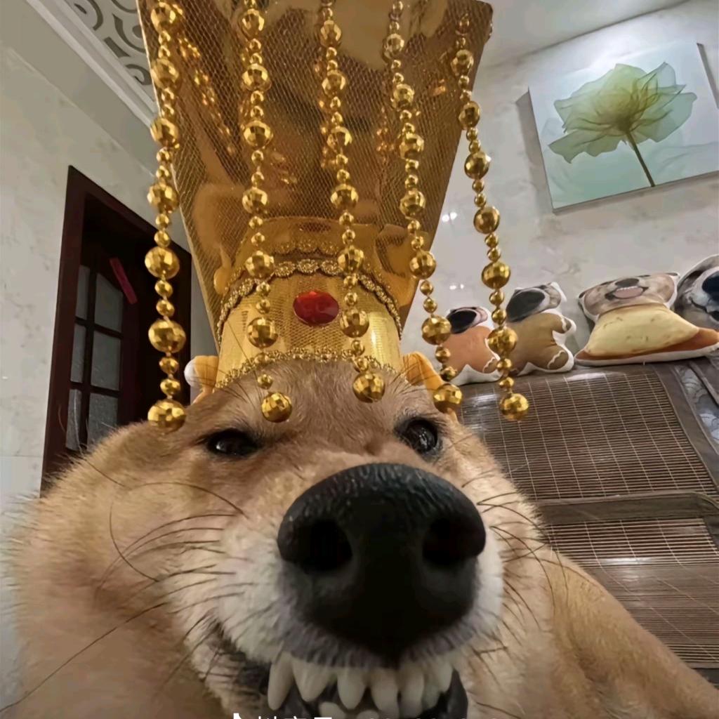 么么么么么么么么么么么么么