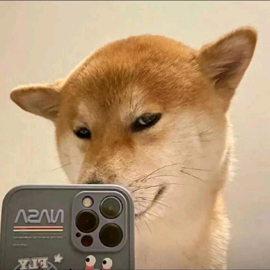 差三岁隔三秋