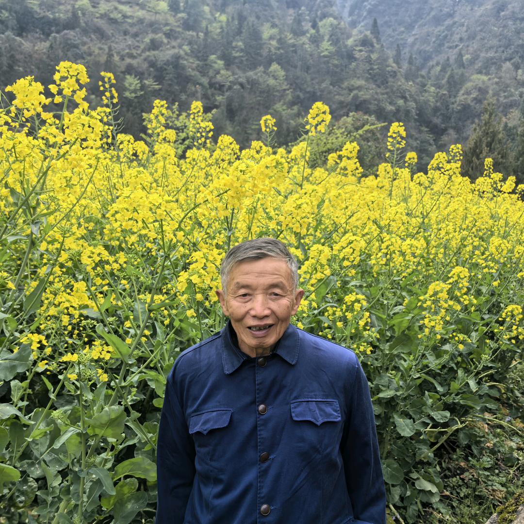 段师傅