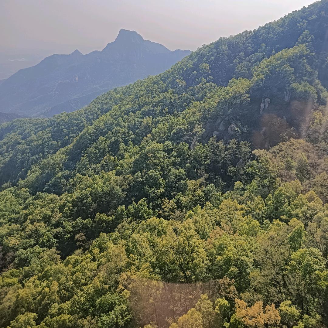 ❤️想事🍊🎄