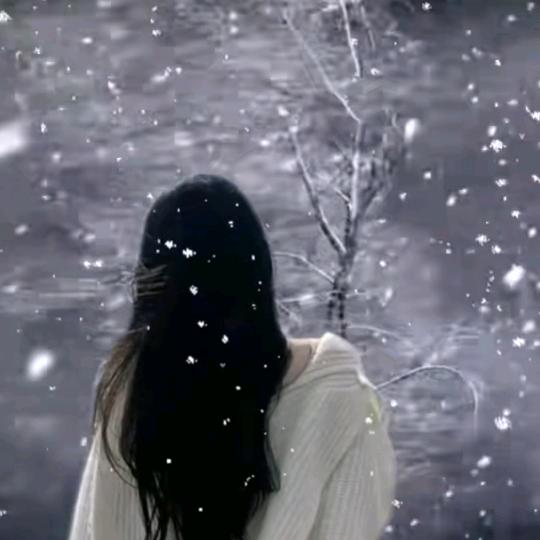 踏雪✨