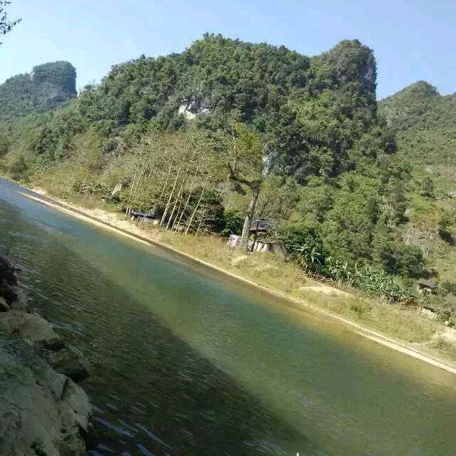 陆杰