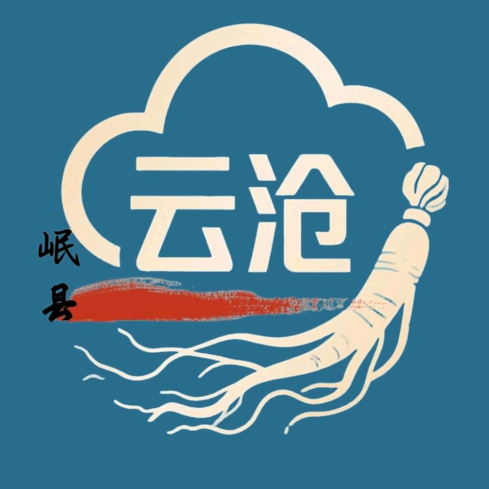 岷县云沧滋补食品精选小铺