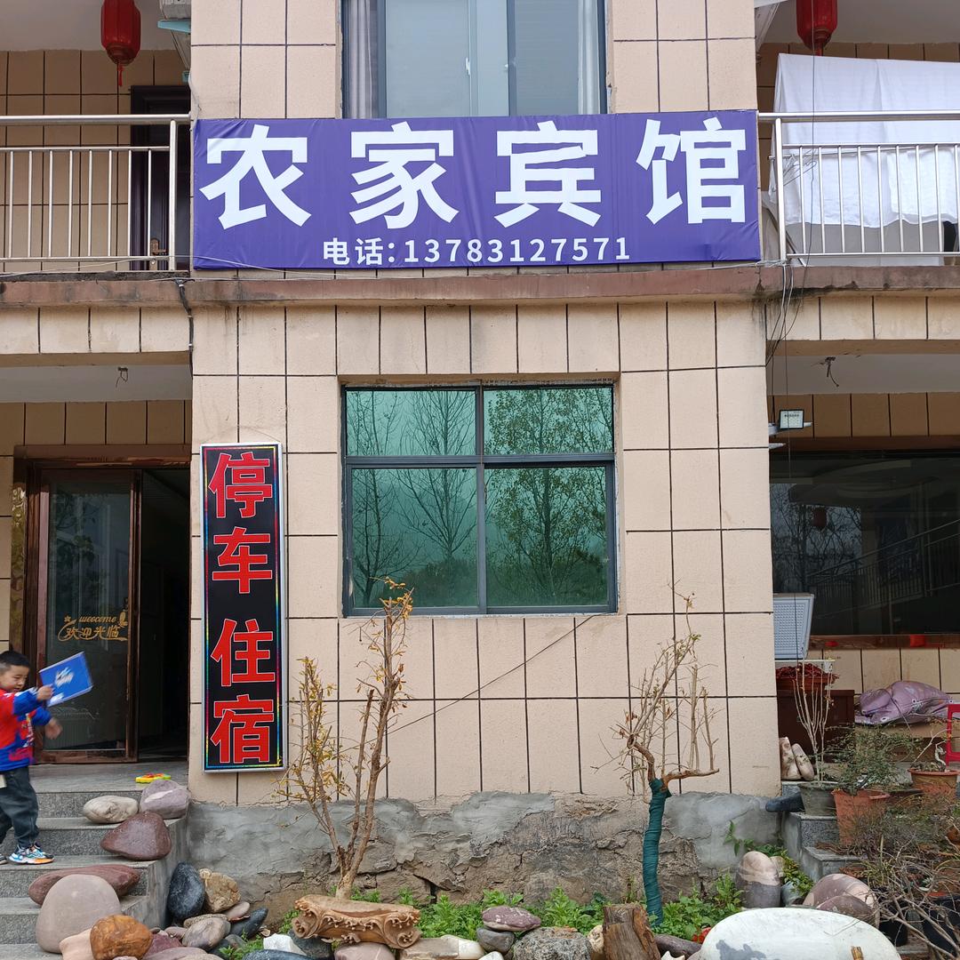 奇石盆景推广