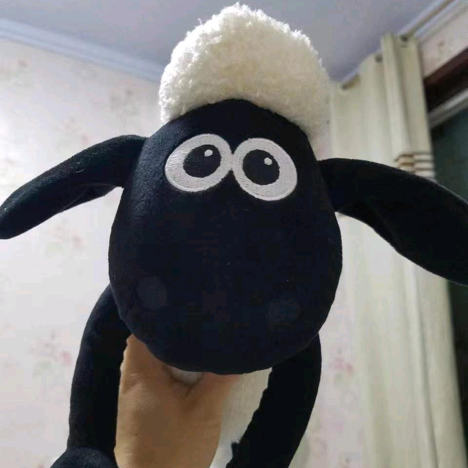 肖恩的朋友